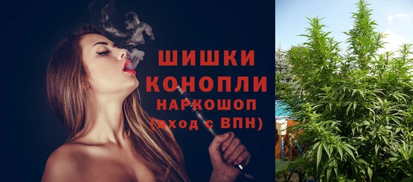 PSILOCYBIN Карталы