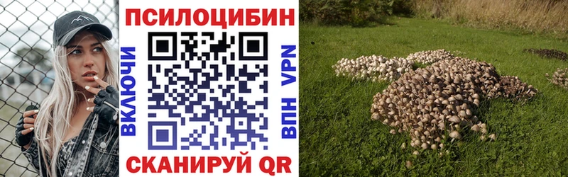МЕГА вход  Красновишерск  Галлюциногенные грибы GOLDEN TEACHER  продажа наркотиков 